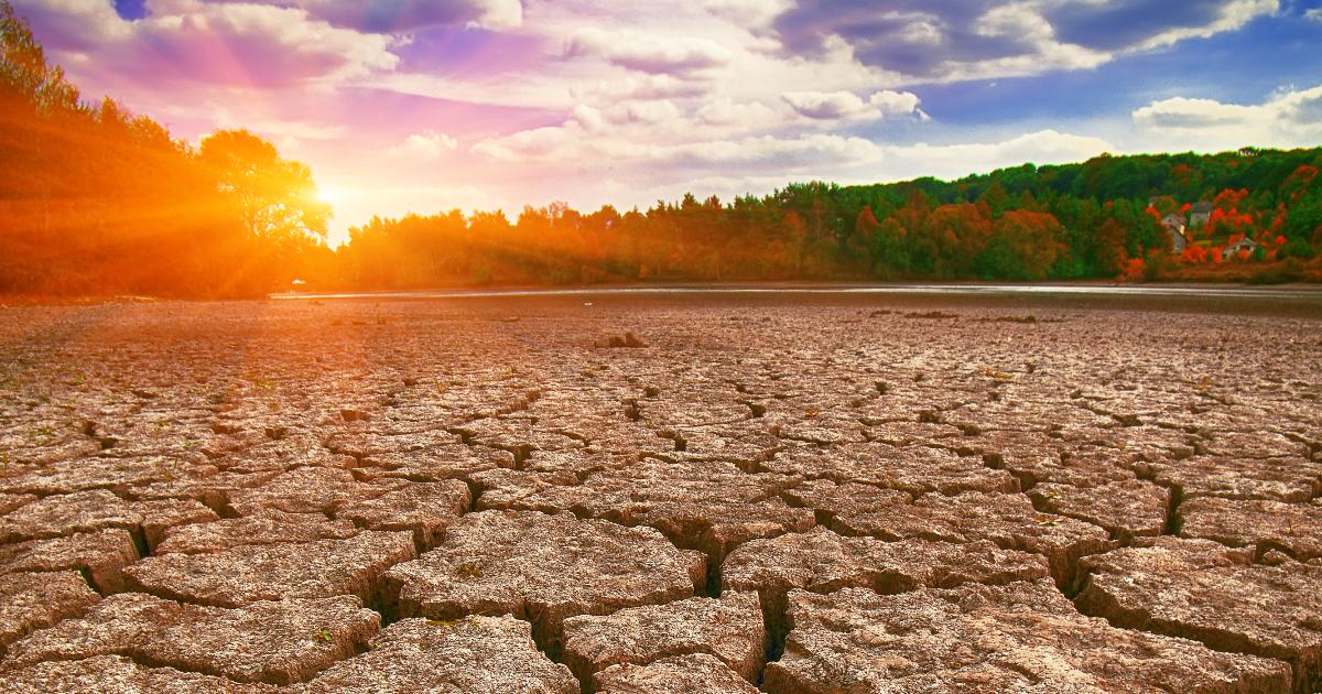 El Fenómeno de El Niño ha impactado en Colombia durante el 2024