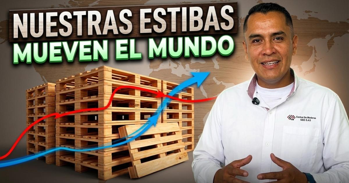 Embedded thumbnail for Central de Maderas: así funciona la economía circular en logística y estibas