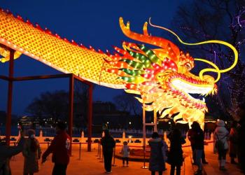 Foto de un dragón lleno de luces, nuevo año lunar