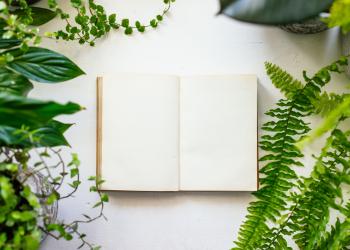 Foto de un libro abierto con plantas a su alrededor