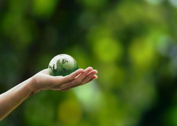 Foto de una mano con un mundo verde sobre ella