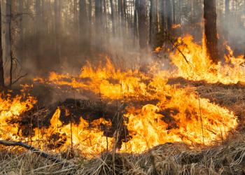 Incendios forestales en Colombia
