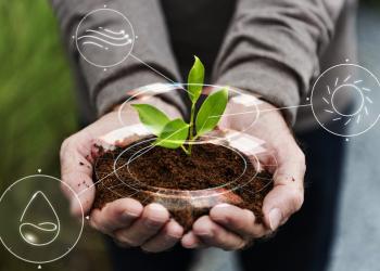 Persona sosteniendo un poco de tierra en sus manos con una planta en la parte de arriba y unos logos tecnológicos a su alrededor
