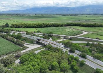 Foto de carretera con bosque a su alrededor