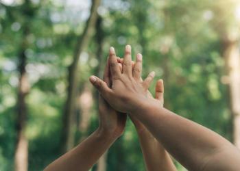 Foto de manos juntas en un bosque