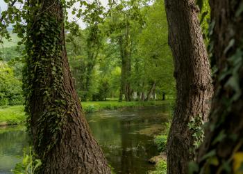 lugares con areas verdes 