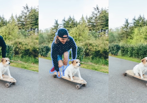 persona en un skate junto a un perro