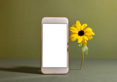 Foto de un celular con un girasol al lado derecho y un fondo verde