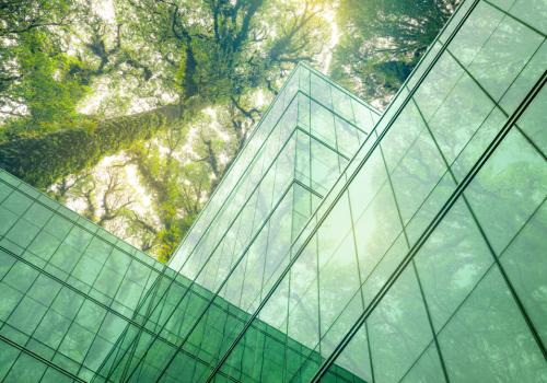 Foto de un edificio de vidrio con tonos verdes y encima y arbol