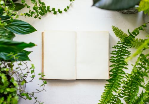 Foto de un libro abierto con plantas a su alrededor