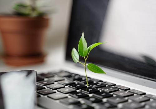 Foto de una planta creciendo sobre un teclado