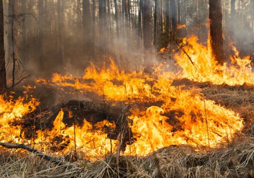 Incendios forestales en Colombia