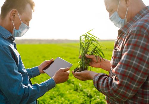 El agro fue el sector que más creció en la economía en Colombia 