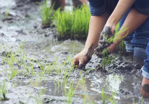 Mitigación del Fenómeno de la Niña en Colombia