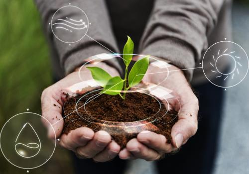 Persona sosteniendo un poco de tierra en sus manos con una planta en la parte de arriba y unos logos tecnológicos a su alrededor