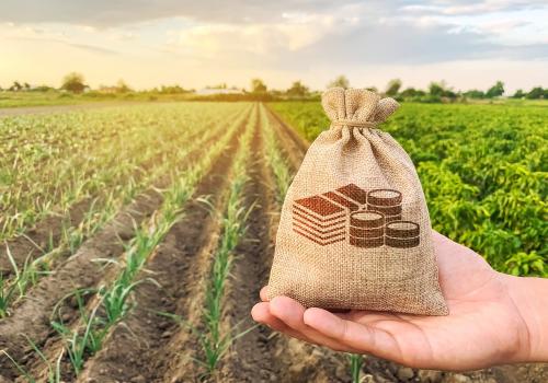 Una bolsa de dinero con un fondo agrícola de fondo