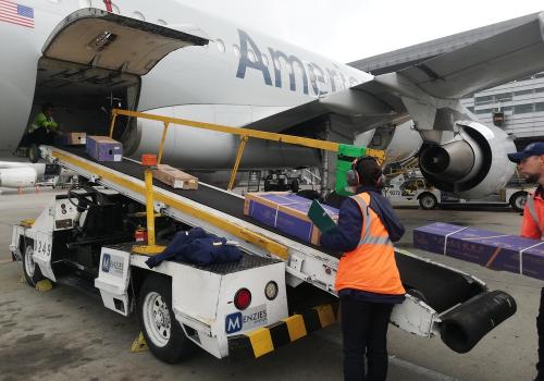 Subiendo flores a un avión de American Airlines