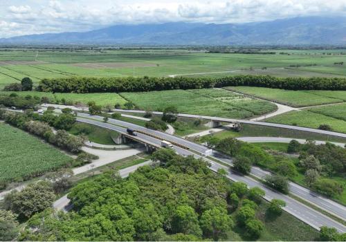 Foto de carretera con bosque a su alrededor