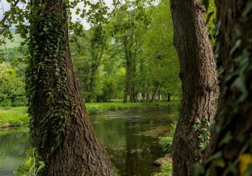 lugares con areas verdes 