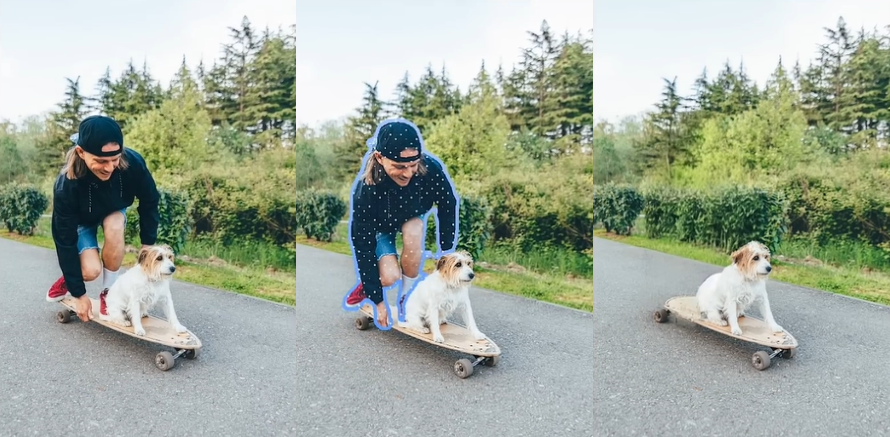 persona en un skate junto a un perro