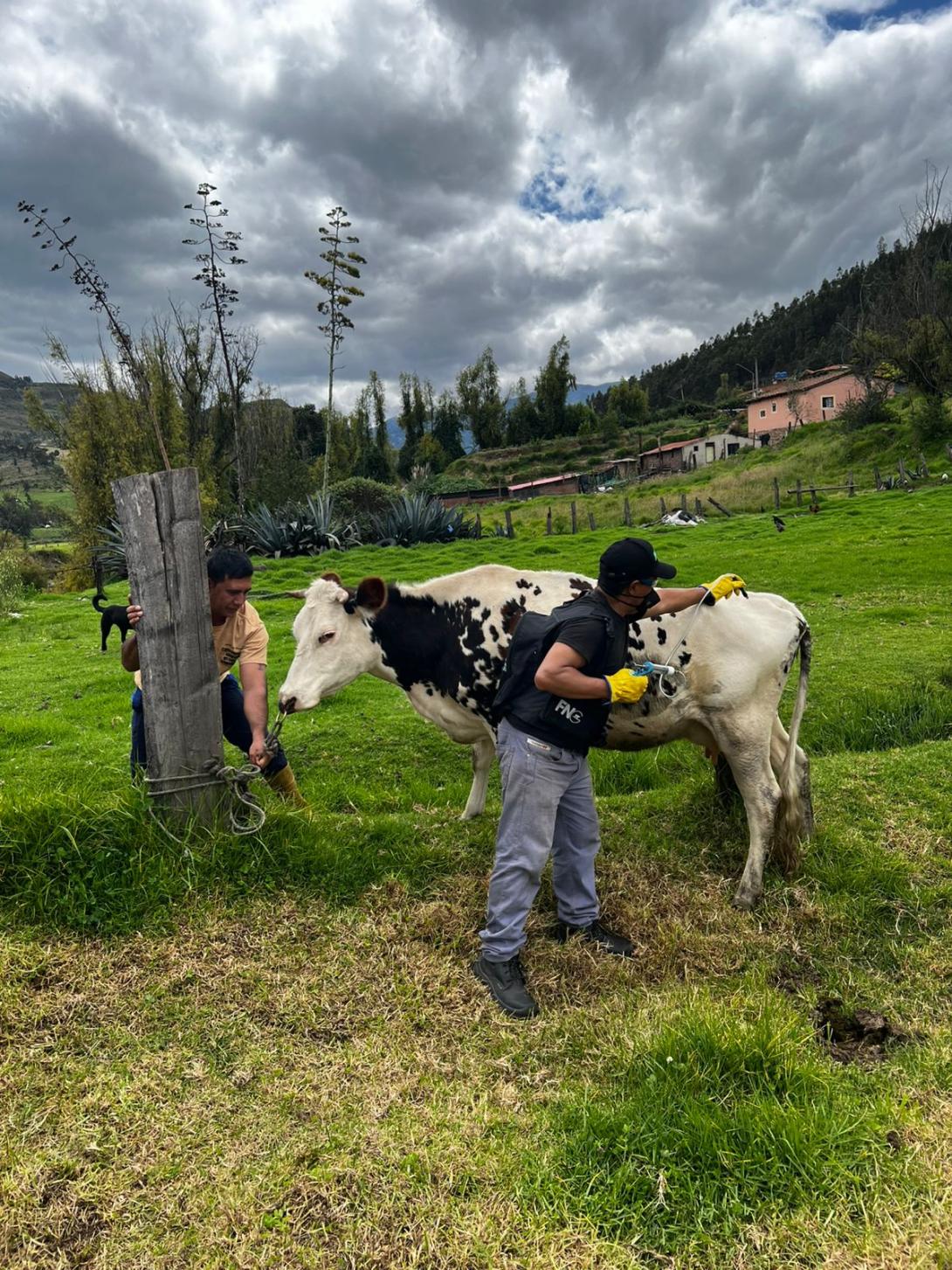 FEDEGÁN e ICA