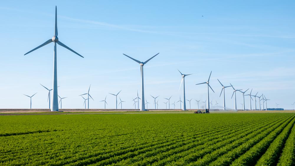 Foto de molinos sobre un campo verde