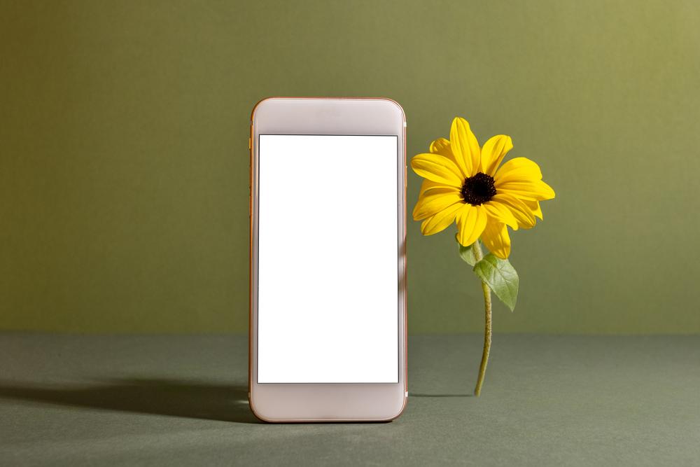 Foto de un celular con un girasol al lado derecho y un fondo verde