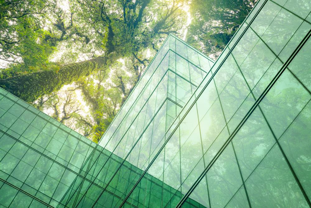 Foto de un edificio de vidrio con tonos verdes y encima y arbol