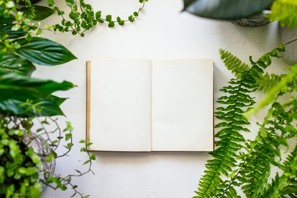 Foto de un libro abierto con plantas a su alrededor