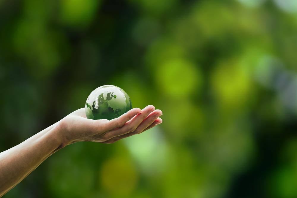 Foto de una mano con un mundo verde sobre ella