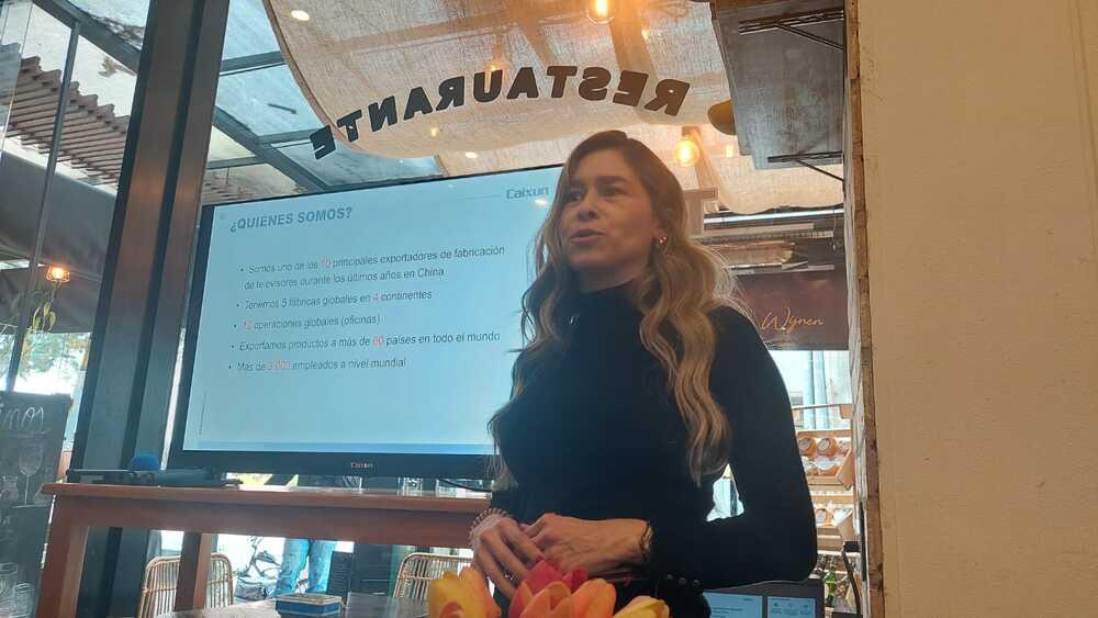 Foto de una mujer presentando frente a un televisor