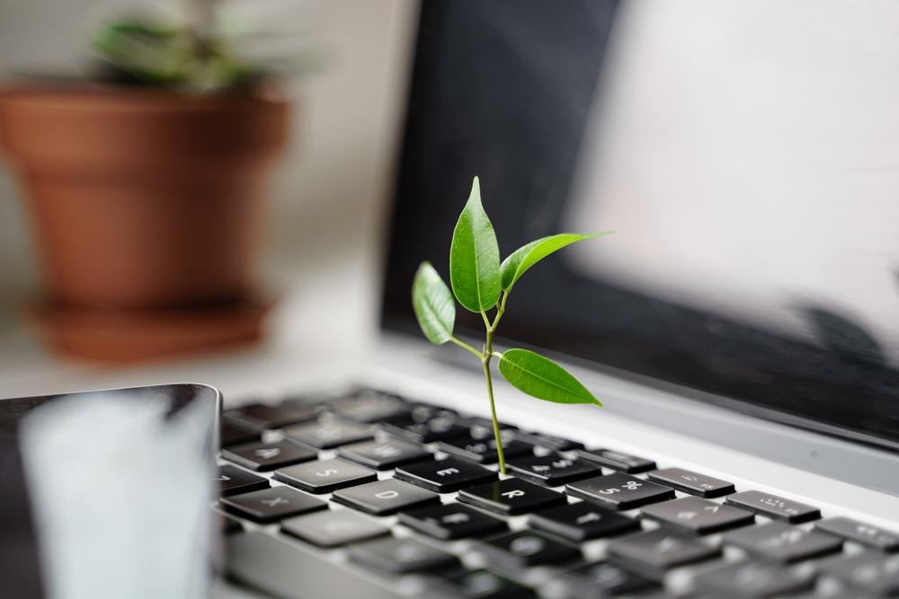 Foto de una planta creciendo sobre un teclado