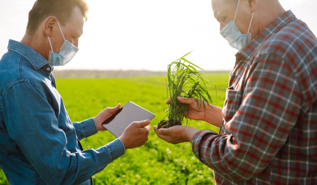 El agro fue el sector que más creció en la economía en Colombia 