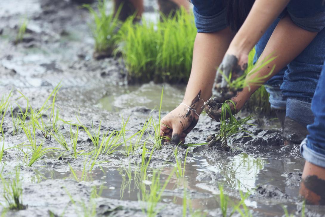 Mitigación del Fenómeno de la Niña en Colombia