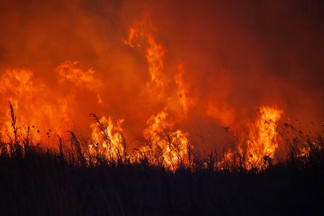 Foto de incendios en artículo sobre pérdidas económicas por catástrofes