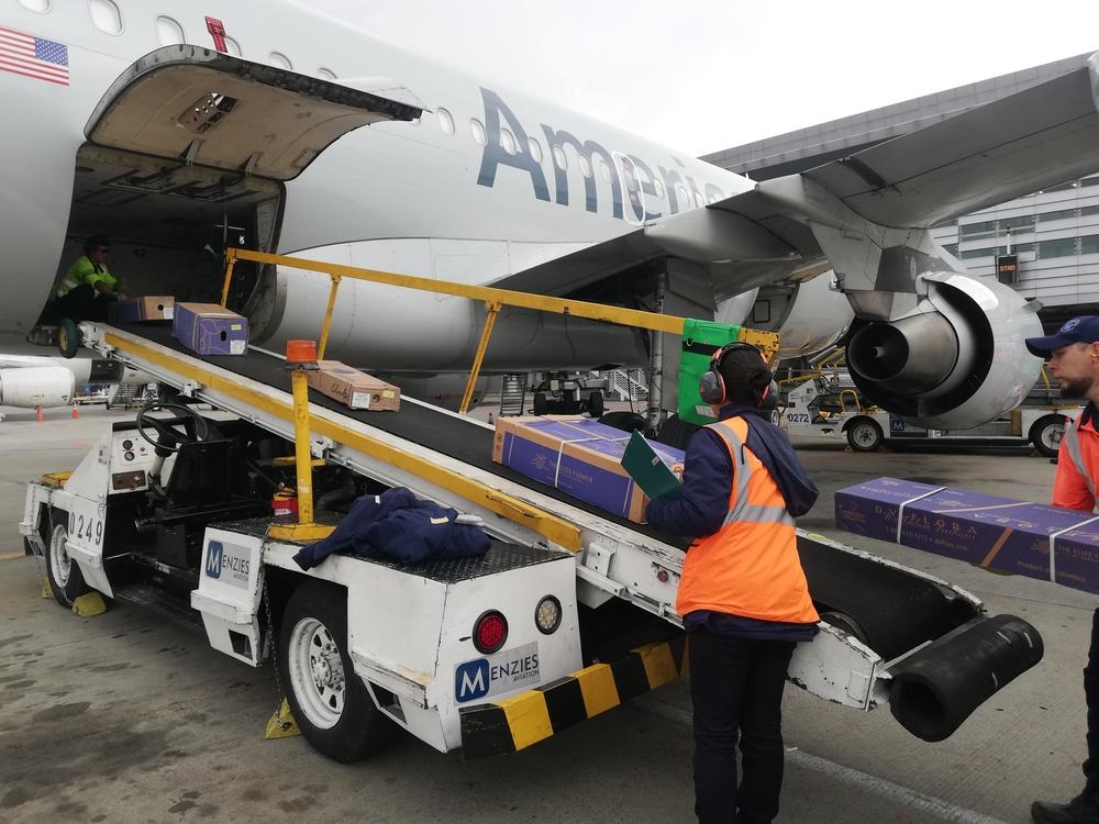 Subiendo flores a un avión de American Airlines