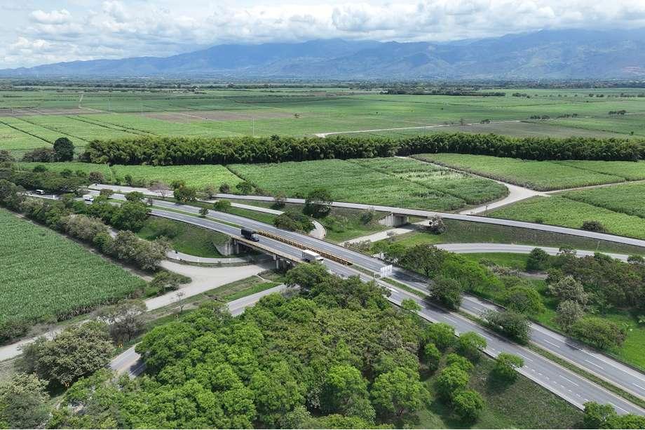 Foto de carretera con bosque a su alrededor