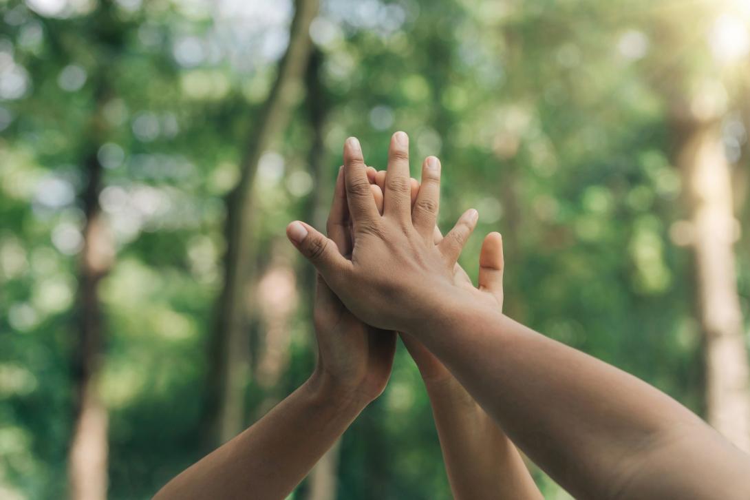 Foto de manos juntas en un bosque