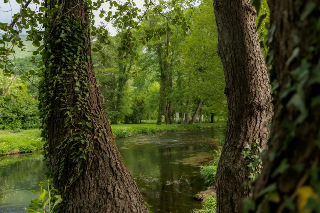 lugares con areas verdes 